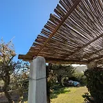 La Valletta マラッツィーノ